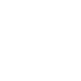 LogoAcceleration-blanc