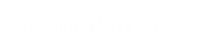 Netlinking.fr_blanc_logo