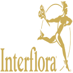 Interflora